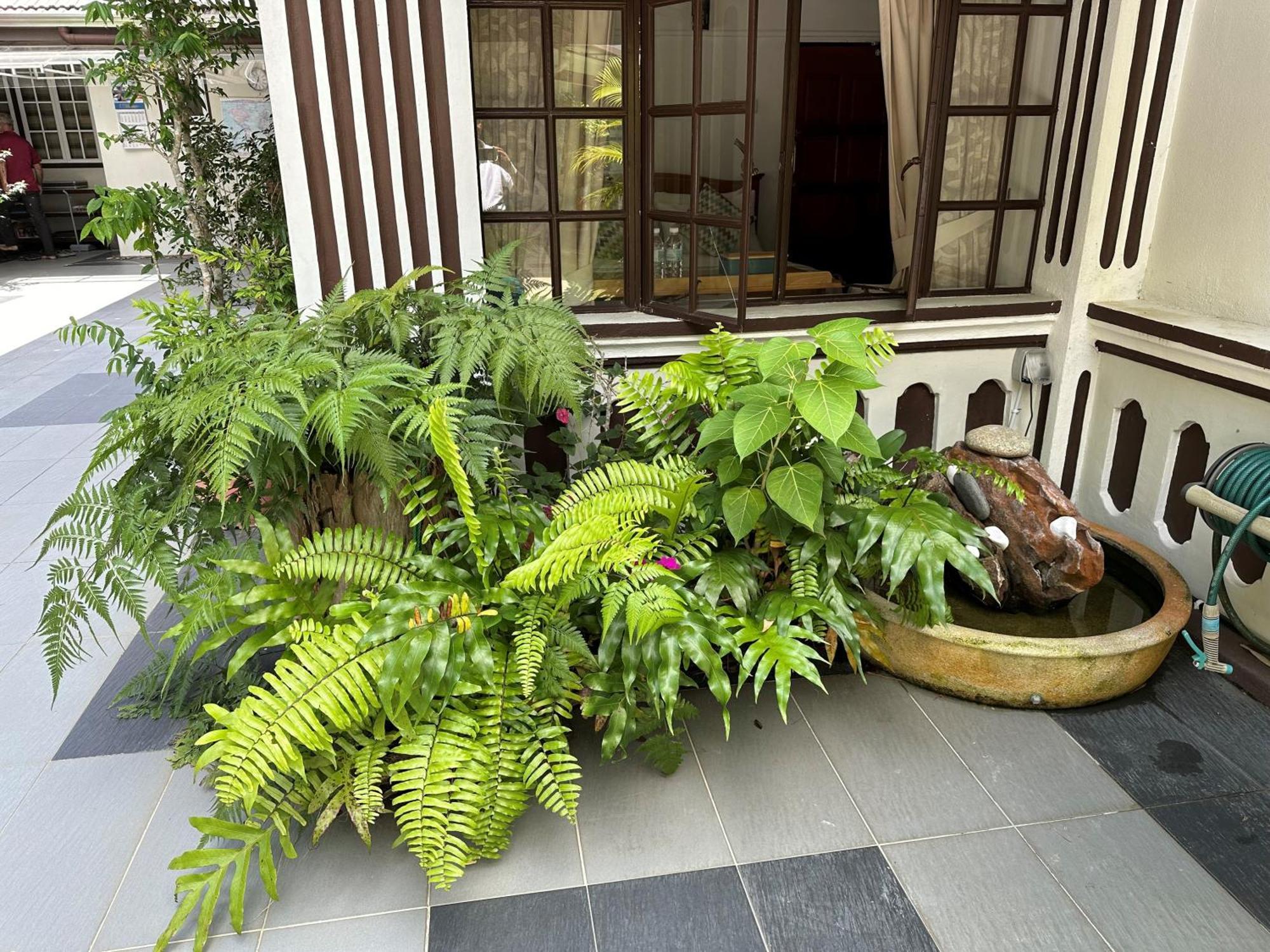 Hotel Hickory Penang Hill Ayer Itam Exterior foto
